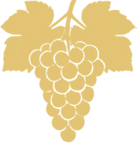 Chardonnay
